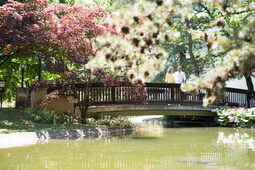 Eine Brücke über einem Wasserlauf im Kurpark Bad Füssing mit blühenden Bäumen im Hintergrund.
