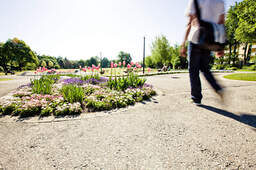 Ein Spaziergänger in Jeans durchquert den blühenden Kurpark im sonnigen Frühling von Bad Füssing.