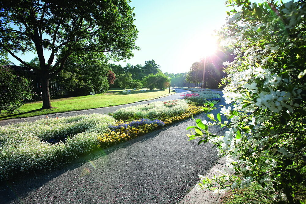 Lichtdurchfluteter Park mitten in der Natur von Bad Füssing, ideal für einen ruhigen Urlaub.
